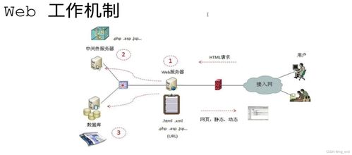 網絡安全學習路徑 從滲透測試到軟件開發的全方位指南
