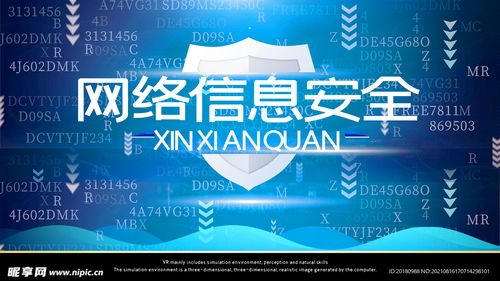 網(wǎng)絡(luò)信息安全設(shè)計(jì)圖與網(wǎng)絡(luò)信息安全軟件開發(fā)